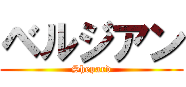 ベルジアン (Shepard)