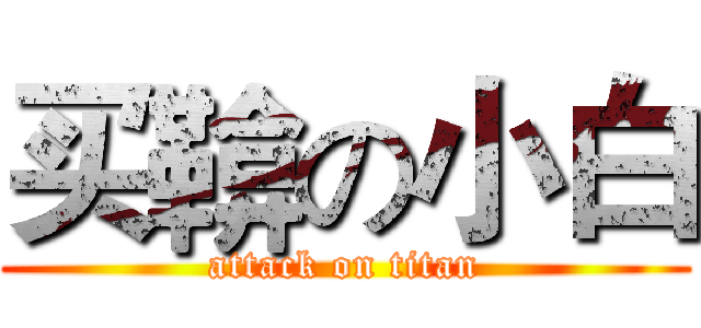 买鞥の小白 (attack on titan)