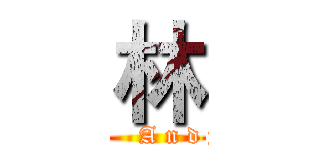 林 (      A n d y)