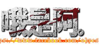 哦是阿。 (https://www.facebook.com/ohyesdk)