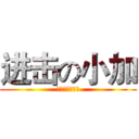 进击の小加 (无人问津的新人)