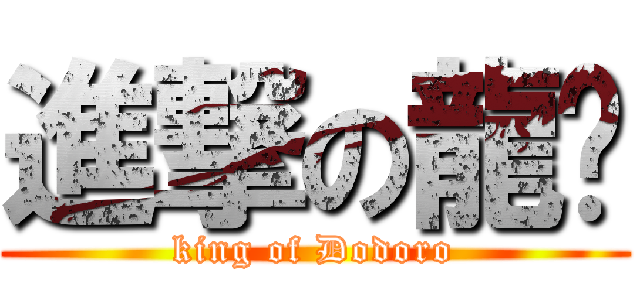 進撃の龍貓 (king of Dodoro)