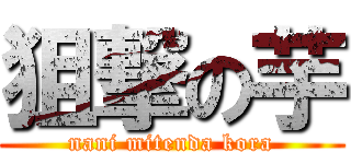 狙撃の芋 (nani mitenda kora)