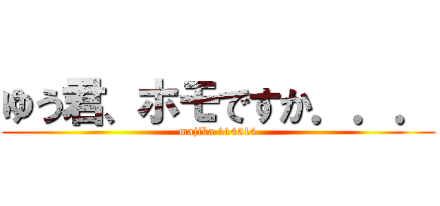 ゆう君、ホモですか．．． (majika 114514)