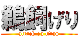 鵜飼げり (attack on titan)