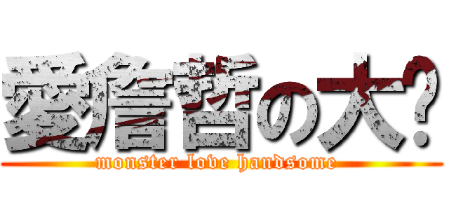 愛詹哲の大姊 (monster love handsome )