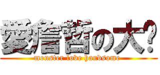 愛詹哲の大姊 (monster love handsome )