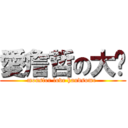 愛詹哲の大姊 (monster love handsome )