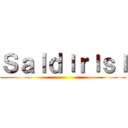Ｓａｌｄıｒıｓı ()