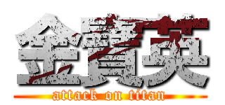 金寶英 (attack on titan)