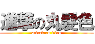 進撃の丸髮色 (attack on titan)
