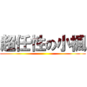 超任性の小楓 ()