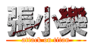 張小樂 (attack on titan)