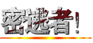 密逃者！ ()