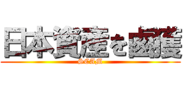 日本資産を鹵獲 (SCAM)