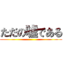 ただの嘘である ()