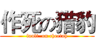 作死の猎豹 (fault  on cheetah)