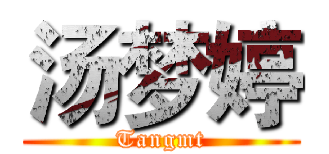 汤梦婷 (Tangmt)