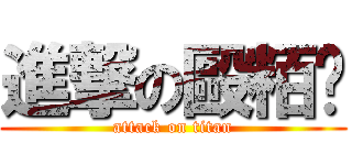 進撃の毆粨籽 (attack on titan)