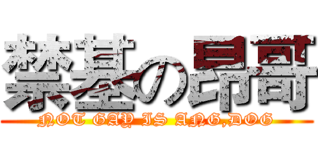 禁基の昂哥 (NOT GAY IS ANG,DOG)