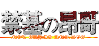禁基の昂哥 (NOT GAY IS ANG,DOG)