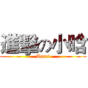 進擊の小晗 (-Assat-)