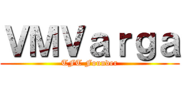 ＶＭＶａｒｇａ (TFT Founder)