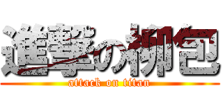 進撃の柳包 (attack on titan)