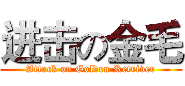 进击の金毛 (Attack on Golden Retriver)