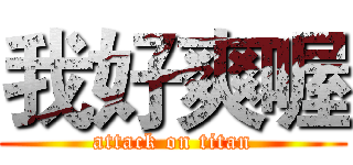 我好爽喔 (attack on titan)
