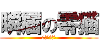 瞬届の零猫 (0猫の宅急便)