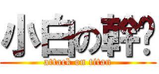 小白の幹屌 (attack on titan)
