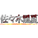 佐々木風夏 (attack on titan)