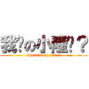 我爱の小隆呢？ (where\'s my zoro?)