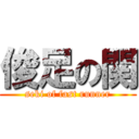俊足の関 (seki of fast runner)