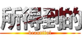 所得到的 (beautiful)