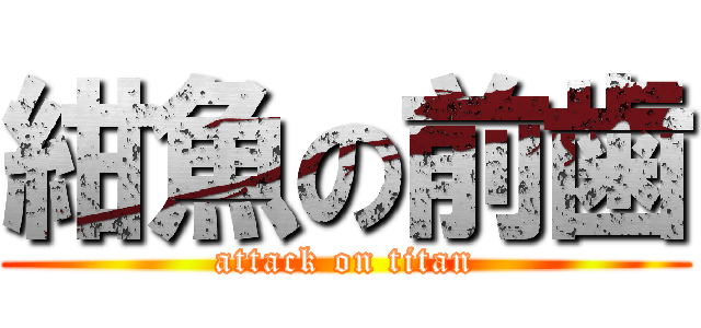 紺魚の前歯 (attack on titan)