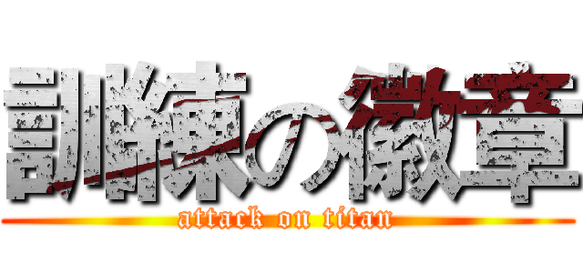 訓練の徽章 (attack on titan)