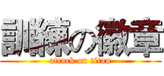訓練の徽章 (attack on titan)