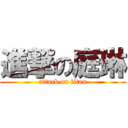 進撃の庭琳 (attack on titan)