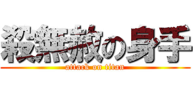 殺無赦の身手 (attack on titan)