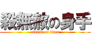 殺無赦の身手 (attack on titan)