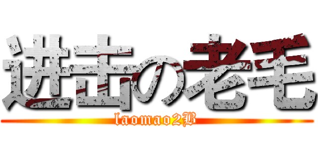 进击の老毛 (laomao2B)