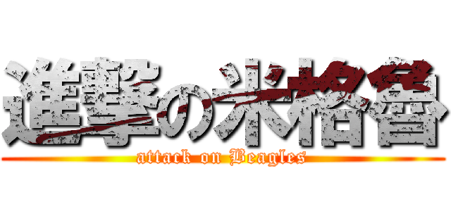 進撃の米格魯 (attack on Beagles)