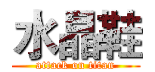 水晶鞋 (attack on titan)