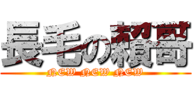 長毛の賴哥 (NEW NEW NEW)