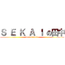 Ｓ Ｅ Ｋ Ａ Ｉ の田中 (word of tanaka)