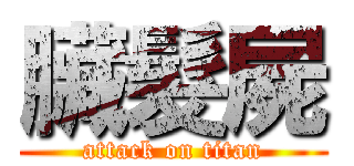 臟髮屍 (attack on titan)