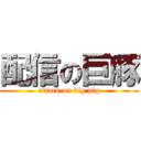 配信の巨豚 (attack on big pig)