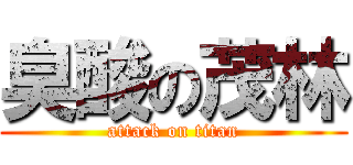 臭酸の茂林 (attack on titan)